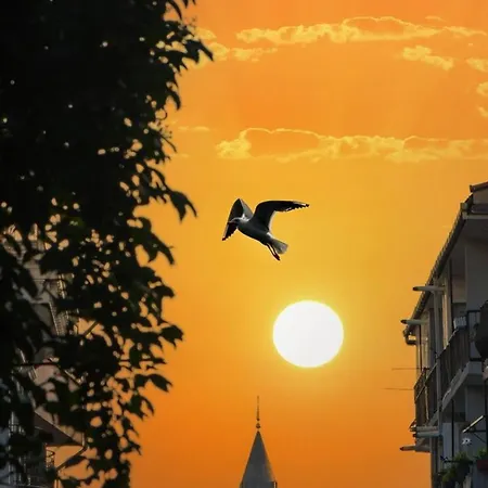 Galata Tower At Your Fingertips Private Balconies 롯지 *